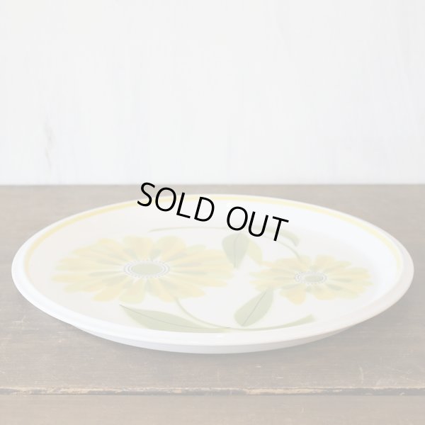 画像3: ミカサ　LIGHT'N LIVELY  大皿　32ｃｍプレート　FRESH AS SPRING  D5353　未使用品　箱付き（ツ2456）