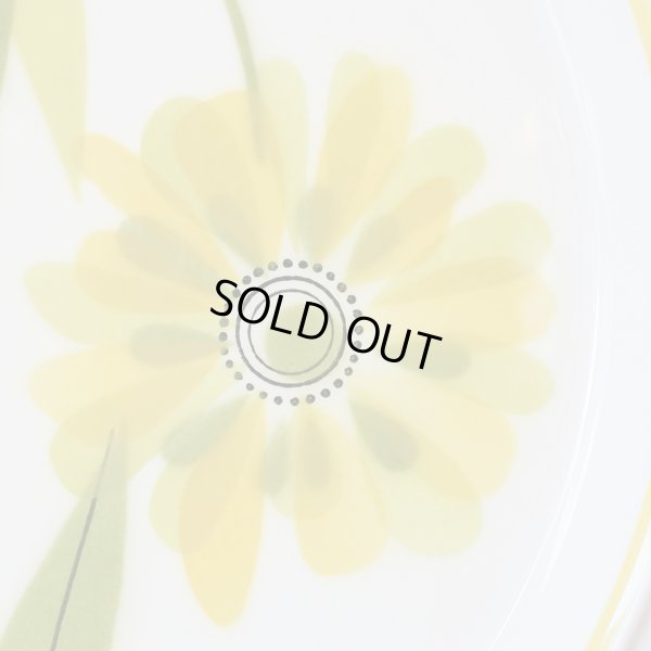 画像5: ミカサ　LIGHT'N LIVELY  大皿　32ｃｍプレート　FRESH AS SPRING  D5353　未使用品　箱付き（ツ2456）