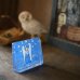 画像1: フィンランド　IITTALA　イッタラ　ヘルヤ・リウッコ＝スンドストロム・デザイン　グラスカード　天使の想い　箱付き　未使用品　説明書付き（箱10　2611） (1)