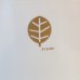 画像4: エンゼル陶器　鈴木悦郎デザイン　モダンシリーズ　ティー・コーヒーポット　白　未使用品
