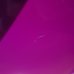 画像4: レトロ　ペンダントライト/吊り下げ照明　丸形/チューリップ　紫×白　ユーズド品