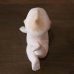 画像5: ビスクドール　陶器製キューピー人形　見上げ　アンティーク品（タ3580）
