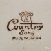 画像5: Sango　三郷陶器　グラタン皿　キャニスター　Country Song　グリーンライン　未使用品（や　3748） (5)