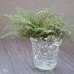 画像1: IWATA　GLASS　ガラス編みカゴ　フラワーベース　鉢カバー　ユーズド品（ｖ4534） (1)