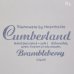 画像4: レトロ　27ｃｍプレート/大皿　Hearthside　ストーンウェア　Cumberland　Brambleberry　未使用品（モ4701） (4)