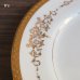 画像2: MIKASA　ミカサ　NARUMI　鳴海製陶　26ｃｍプレート　大皿　COLONY　GOLD　5860　未使用品（O4915） (2)