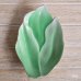 画像2: 深川製磁　葉型の小皿　ハンドペイント　グリーン　アンティーク品（O5060)