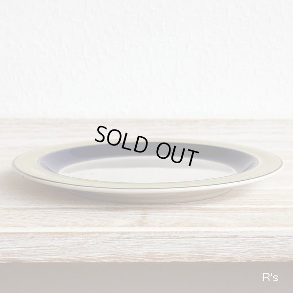 画像5: Royal　Song　ロイヤルソング　ストーンウェア　19ｃｍプレート　中皿　GREENBRIAR　5002　未使用品（ウ5284）