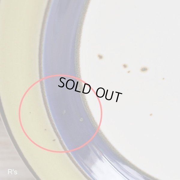 画像4: Royal　Song　ロイヤルソング　ストーンウェア　19ｃｍプレート　中皿　GREENBRIAR　5002　未使用品（ウ5284）