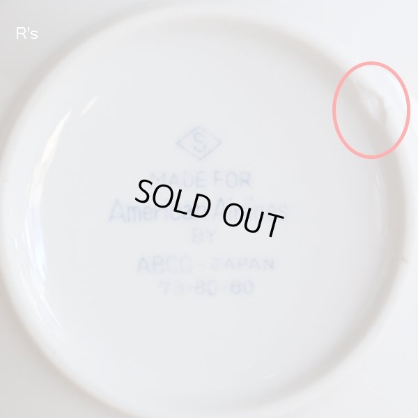 画像9: American Airlines　アメリカンエアライン　ABCOーJAPAN　サラダボウル＆プレートセット　未使用品（ヤ5411）