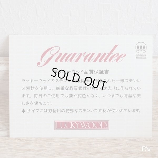 画像8: LUCKYWOOD　ラッキーウッド　18-10ステンレス　カレースプーン　5本セット　未使用品　箱付き（A5131）
