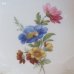 画像3: ドイツ　Rosenthal　ローゼンタール　透かし皿　13ｃｍプレート　classic　花柄　未使用品 (W 303)