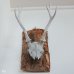 画像7: 壁掛けインテリア　ウォールオブジェ　鹿の骨の角飾り　カスタムメイド品