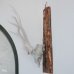 画像5: 壁掛けインテリア　ウォールオブジェ　鹿の骨の角飾り　カスタムメイド品