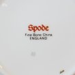 画像5: イギリス　Spode　スポード　ティーカップ＆ソーサー　CANTERBURY　モデルルーム展示品（た4331）