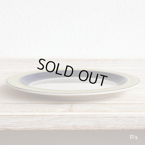 画像5: Royal　Song　ロイヤルソング　ストーンウェア　19ｃｍプレート　中皿　GREENBRIAR　5002　未使用品（ウ5284）