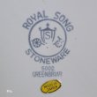 画像7: Royal　Song　ロイヤルソング　ストーンウェア　19ｃｍプレート　中皿　GREENBRIAR　5002　未使用品（ウ5284）