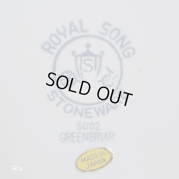 画像7: Royal　Song　ロイヤルソング　ストーンウェア　19ｃｍプレート　中皿　GREENBRIAR　5002　未使用品（ウ5284）