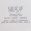 画像5: MIKASA　ミカサ　Intaglio　大皿　28ｃｍプレート　CAC29　GARDEN HARVEST　未使用品（BB5797）