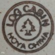 画像8: HOYA　CHINA　LOG　CABIN　コーヒーカップ＆ソーサー　未使用品(s3076)