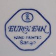 画像5: Sango　三郷陶器　EUROPEAN　24ｃｍプレート　花柄　HANDPAINTED　未使用品（カ6046）