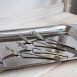 画像3: Todai　18-8ステンレス　シャイン　フルーツフォーク　4本セット　未使用品（テ6206）