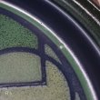 画像7: ノリタケ　PRIMASTONE　プリマストーン　大皿　26ｃｍプレート　BAY ROC　8303　グリーン　未使用品（箱8　6059）