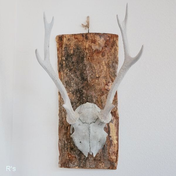 画像1: 壁掛けインテリア　ウォールオブジェ　鹿の骨の角飾り　カスタムメイド品